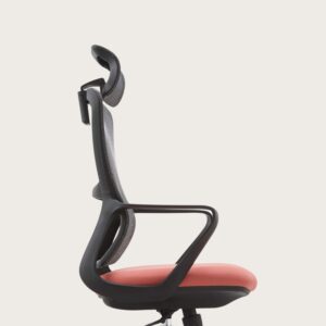 Zivora FlexMesh Ergonomic Office Chair