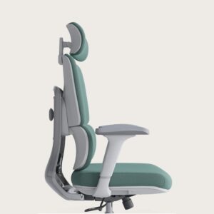 Zivora Advanced Ergonomic Office Chair with Adjustable Headrest, Multi-Zone Back Support & Lumbar Adjustment