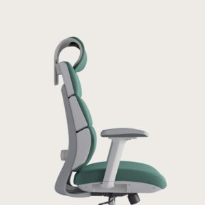 Zivora ProCurve Executive Ergonomic Chair