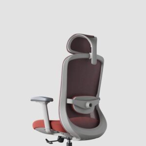 Zivora AeroFlex Ergonomic Mesh Office Chair